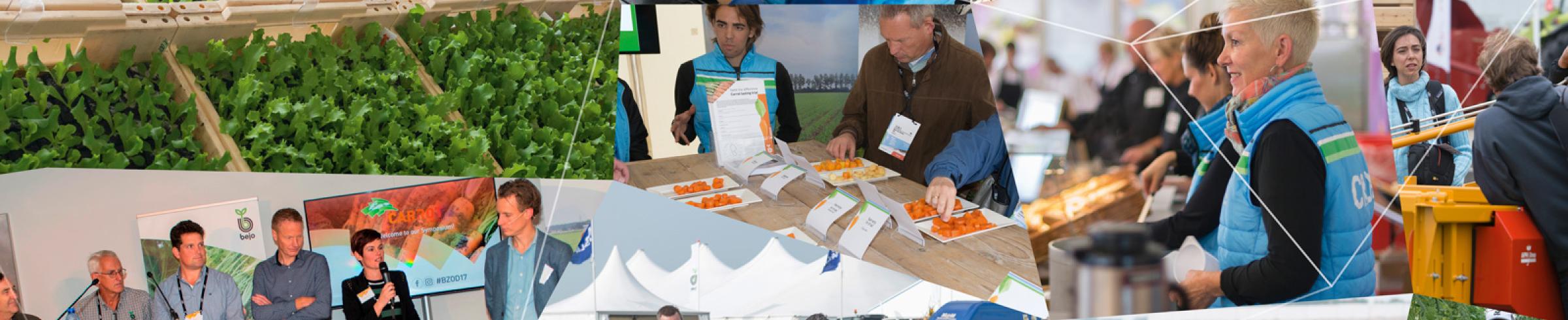 Open Days compilation