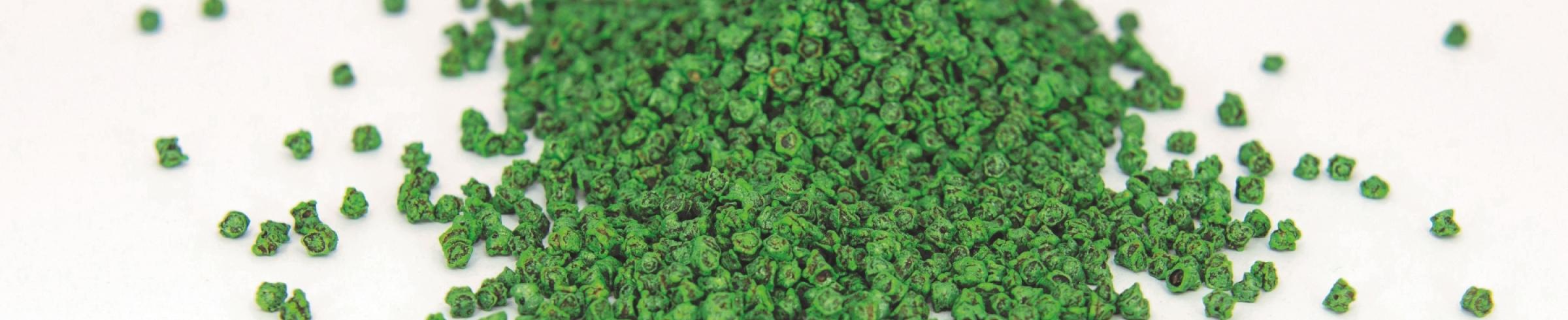 Seed coating beet