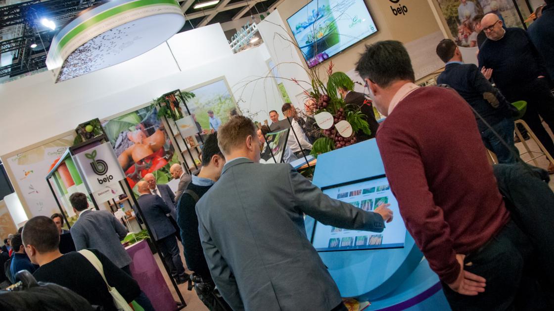 Bejo stand overview Fruit Logistica