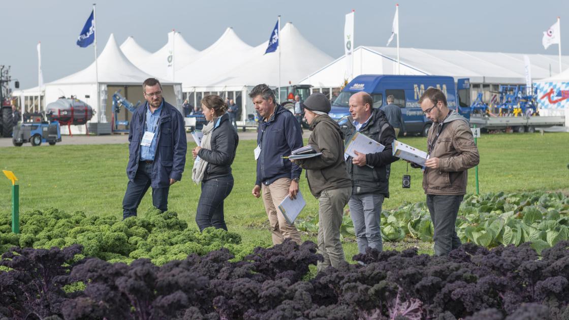Open Days demo field
