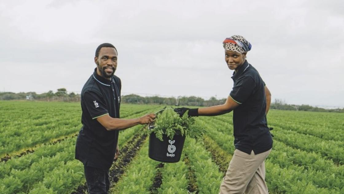 Making an impact that matters