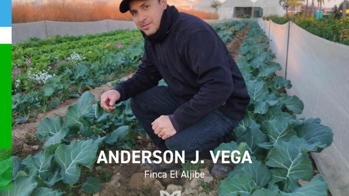 Anderson J Vega