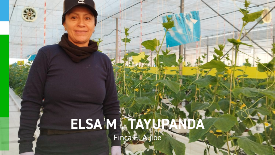 Elsa M Tayupanda