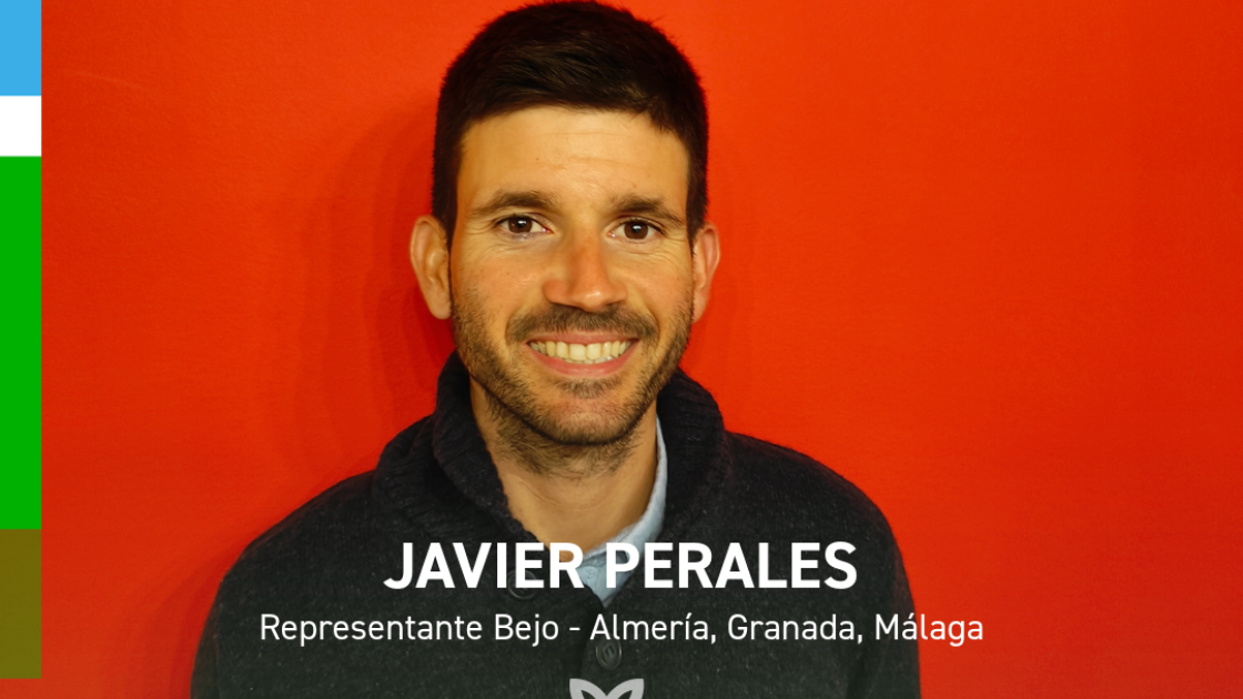 JP Nuevo