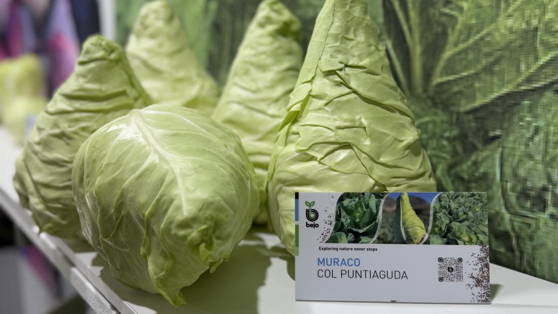 Infoagro2025_Coles.jpg