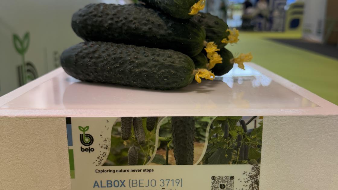 Infoagro2025_Albox.jpg