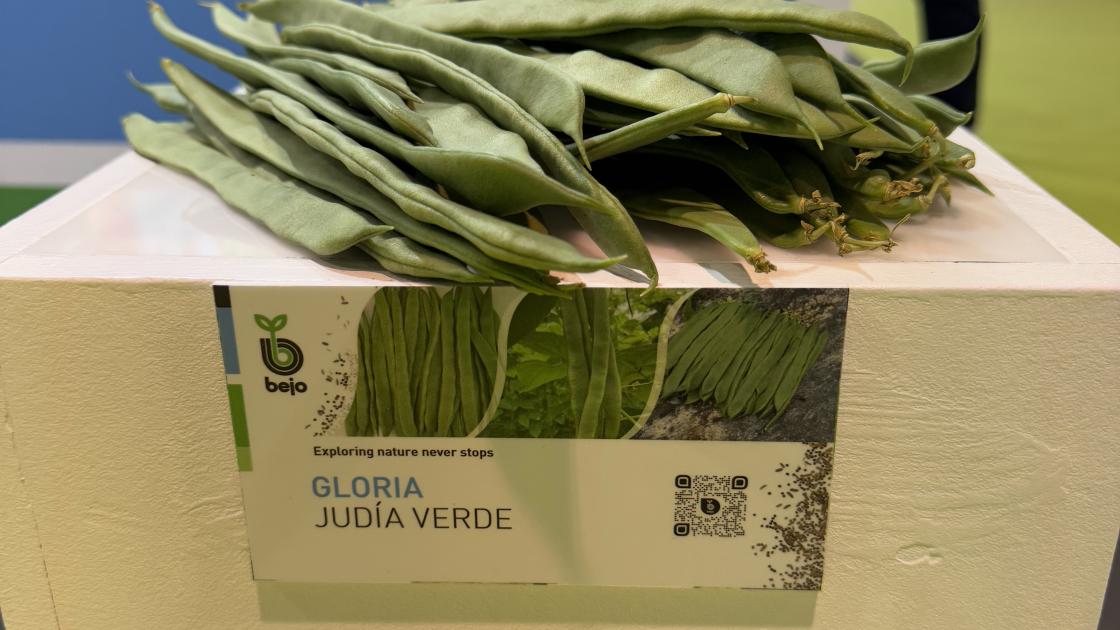Infoagro2025_Gloria.jpg