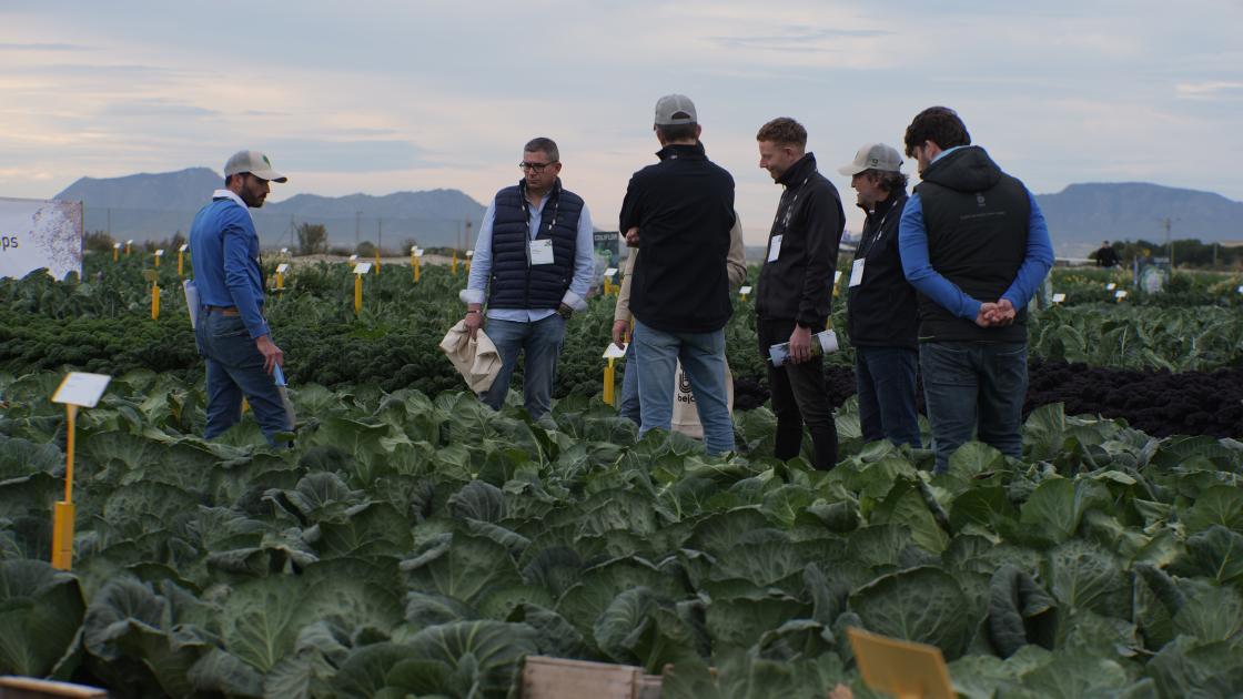 Murcia Open Days 2026