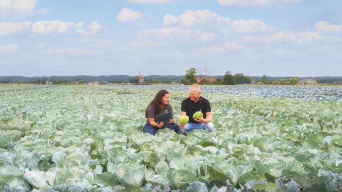 ENNS-breeder of ENNS -Bejo vegetable seeds for the professional grower.jpeg