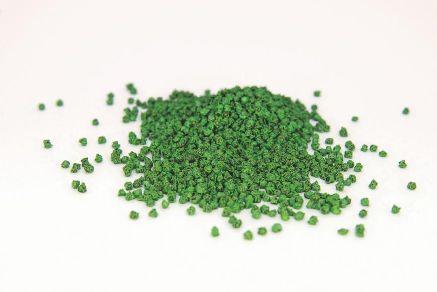Seed coating beet
