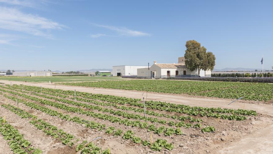 Bejo Iberica Murcia