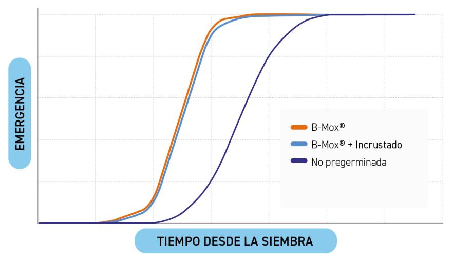 Emergencia Encrusted Seed Bejo