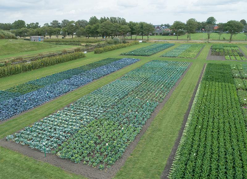 Organic demo field_small.jpg