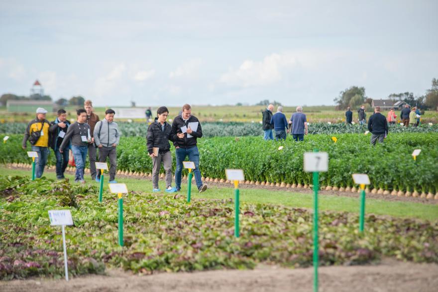 Open days NL 2026_Press Release 