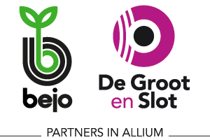 logo socio