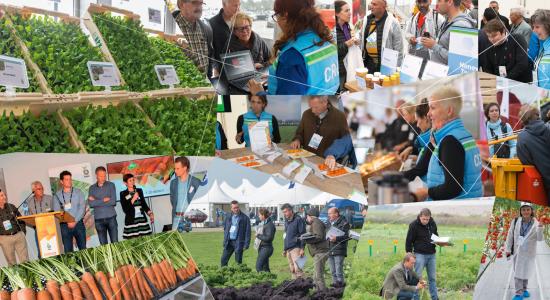 Open Days compilation