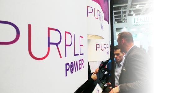 Purple Power