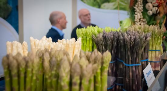 Colourful asparagus presentation
