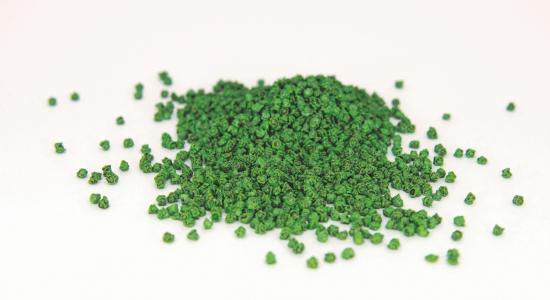 Seed coating beet