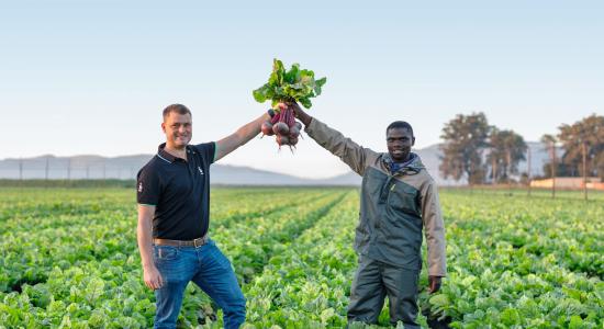 beet-magazine